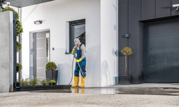 Best Roof Cleaning and Mildew Removal in Appleton City, MO